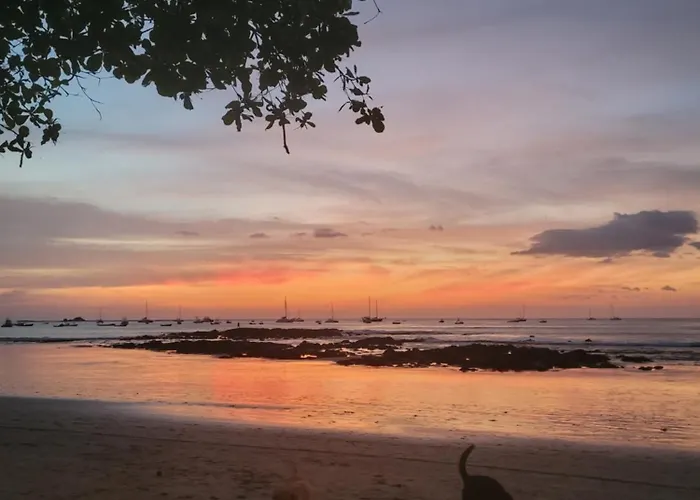 Appart hôtel Cabinas Corazon Tamarindo