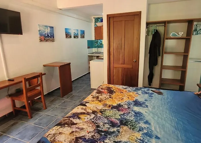 Appart hôtel Cabinas Corazon